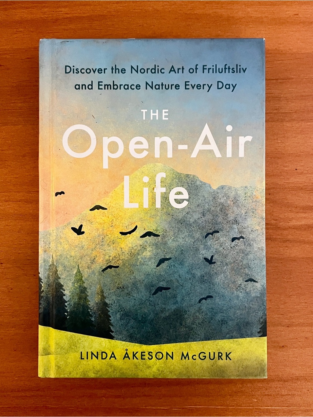 The Open-Air Life by Linda Åkeson McGurk